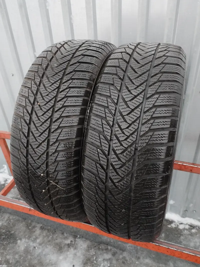 Пара б/у шин 195/55 R15 ESA-Tecar Super Grip PRO