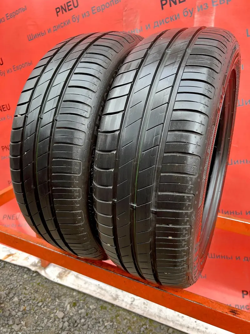 Пара б/у шин 195/55 R16 Goodyear EfficientGrip Performance RunFlat