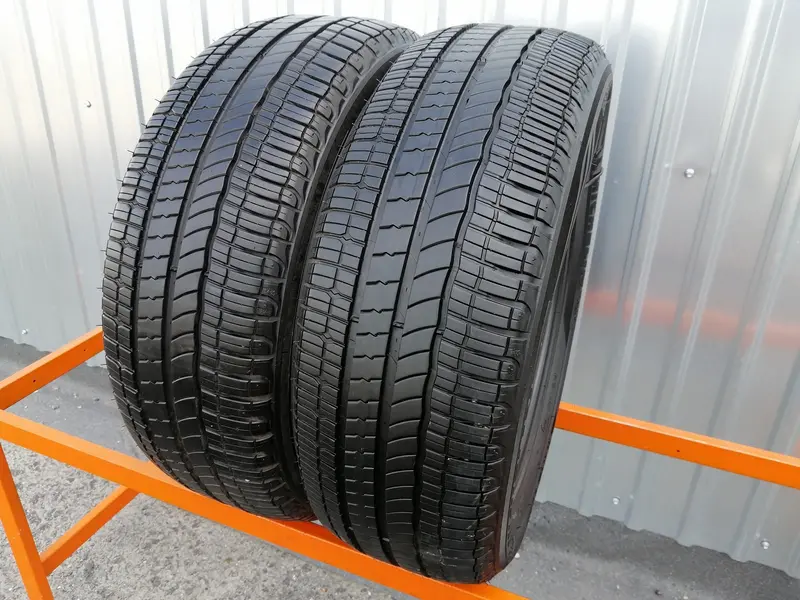 Пара б/у шин 195/55 R16 Michelin Energy E-V
