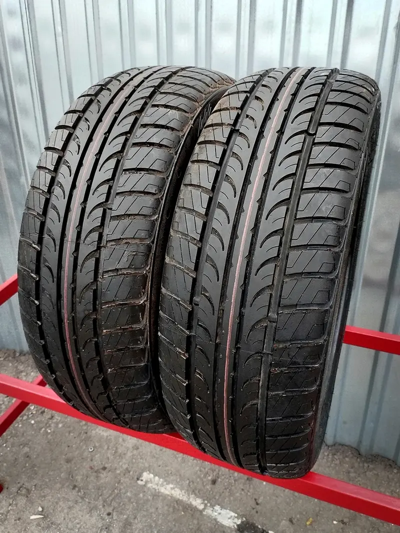 Пара новых шин 205/55 R16 Tunga Zodiak 2